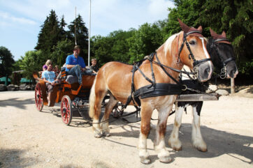 Gutschein Viktoria-Romantik-Paket (für 2)